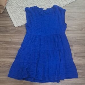 Blue  Dress